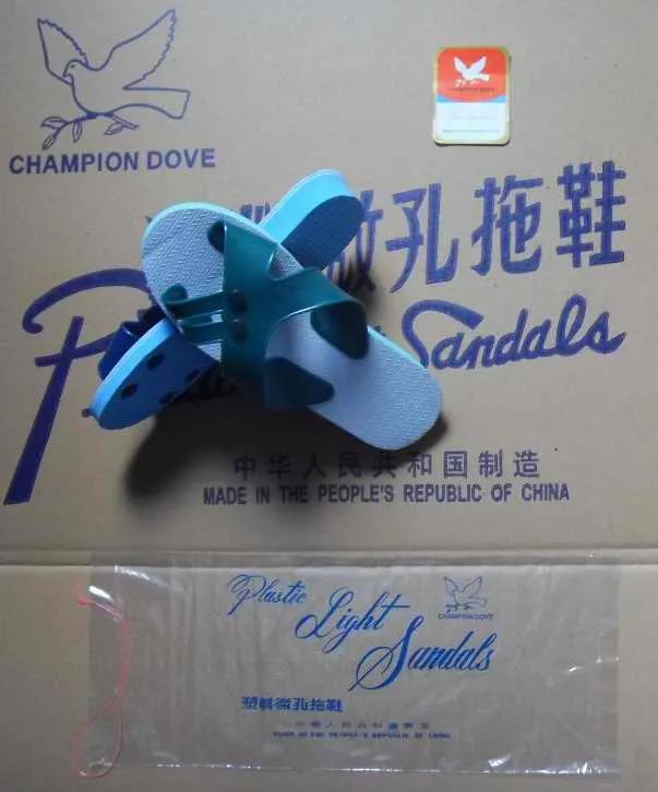 CHAMPION DOVE 712.jpg