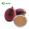 Factory supply Freeze dried Passion fruit powder