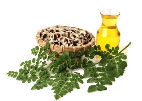 moringa oil5646.jpg