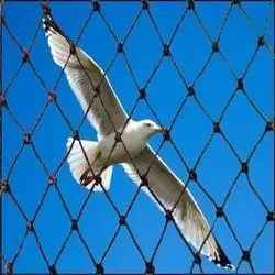 anti-bird-net-250x250.jpg