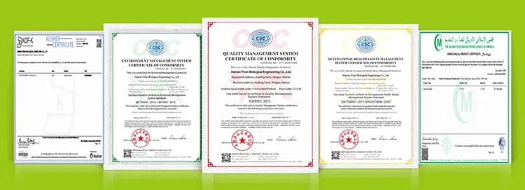 our qualification
