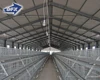 Fast Installed Business Plan Broiler Chicken Farming Housing Building For Layers