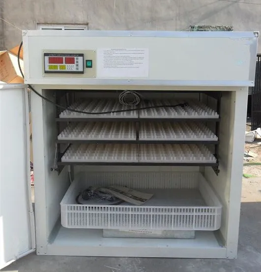 Home Use Small Automatic 100 Chicken Egg Incubator From ...