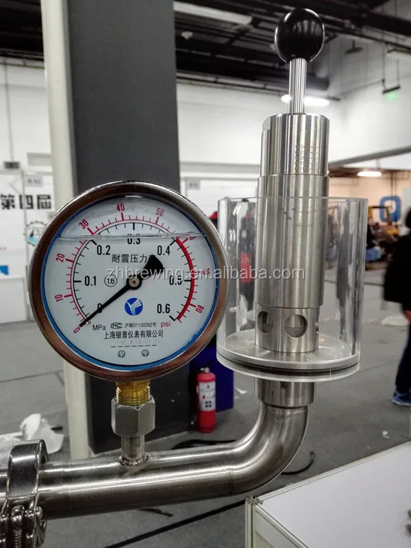 300L 500L Hotel beer brewing kettle with fermenting processing equipment for sale