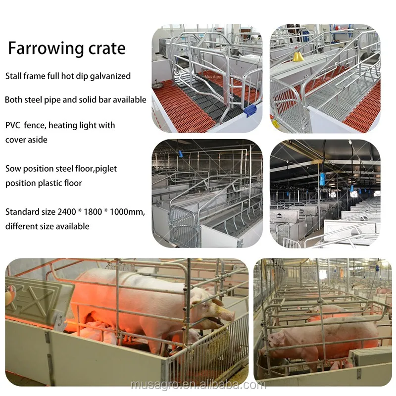 Factory Direct Sale Farrowing Pen Design Of Farrowing Crate For Sale In