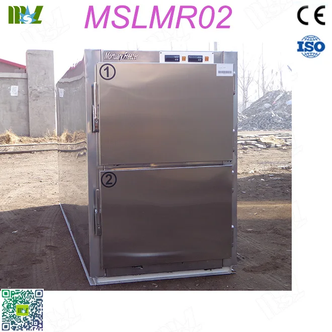 MSLMR02-1