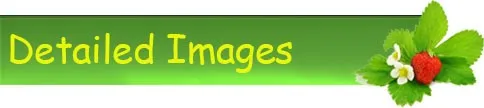 detailedimages.jpg
