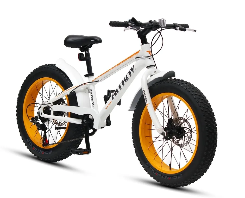 youth fat tire bike