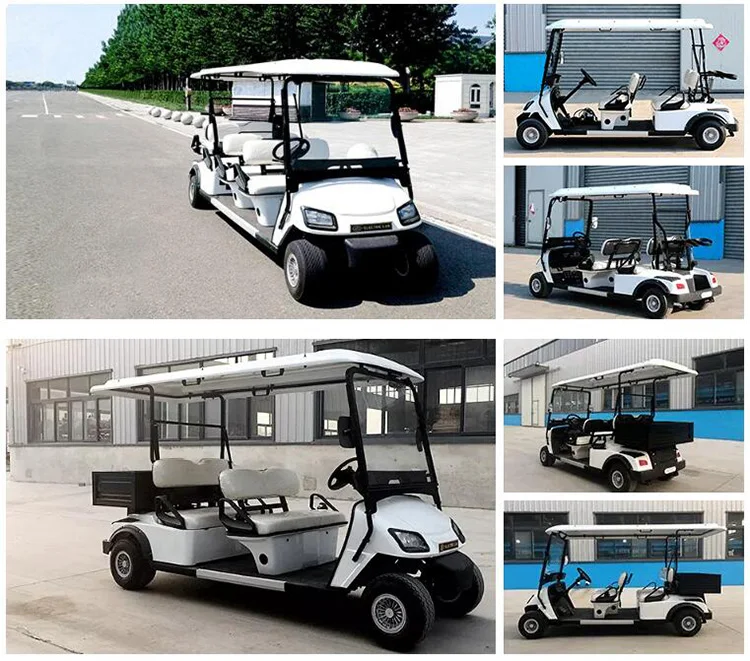 Zycar Electric Garden Utility Vehicles New Designed Golf Buggy For Sale