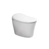 Position Adjustable Massage Wash Children Key Lock Heated Bidet Portable Toilet