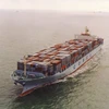 China top logistic delivery agent seafreight from china to vietnam