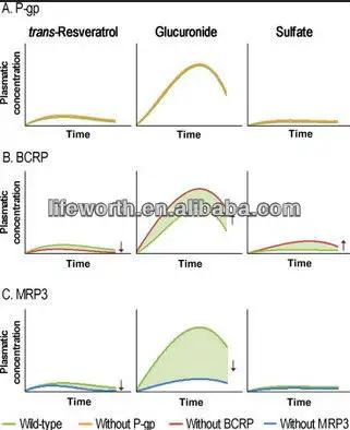 resveratrol2.jpg