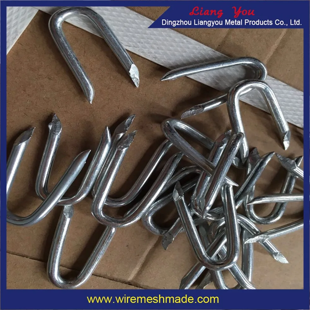 Bwg9 X 1 '' Wooden Post Eletric U Type Fence Staple Buy 1'' U Type