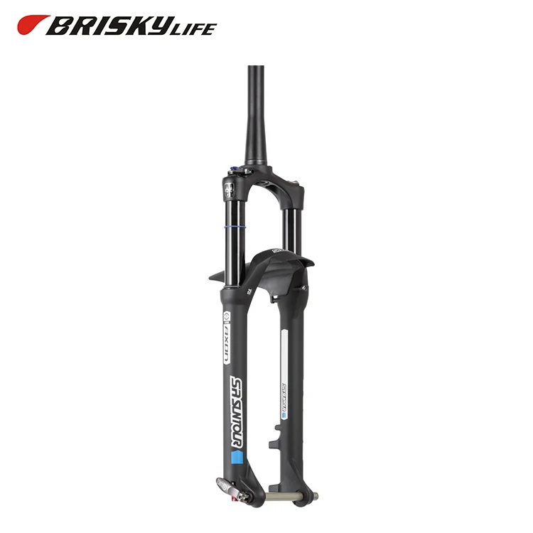 downhill suspension forks