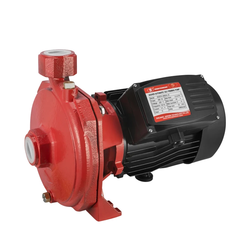 Gray Iron Structure Centrifugal Pump Water Pump Home Depot 750w 1hp Scm52 Buy Iron Pump