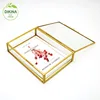 Antique Globe de Marriage / end of 19th century rectangle 4*6 5*7 photo Glass box with wax flower tiara round tube gift box