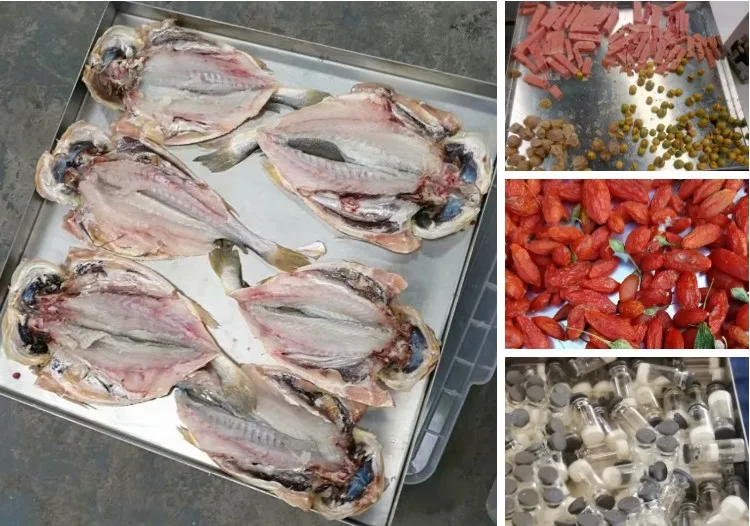 vegetable freeze dryer