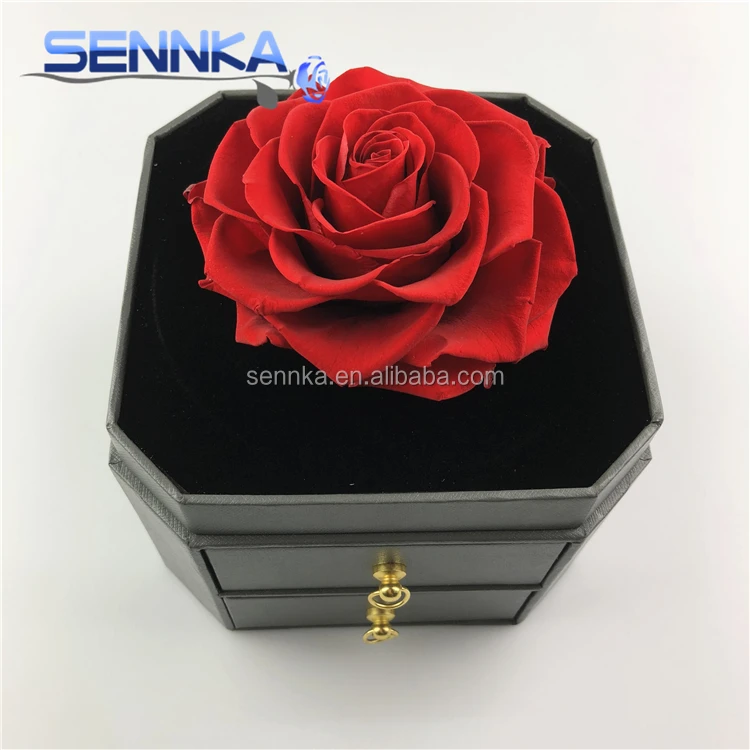 preserved rose 0509 (13)