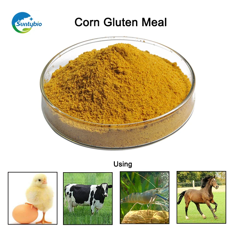 Hot Sale Good Price Corn Gluten Meal For Poultry Feed Buy Good Price
