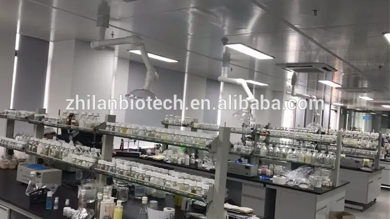 lab zhilan