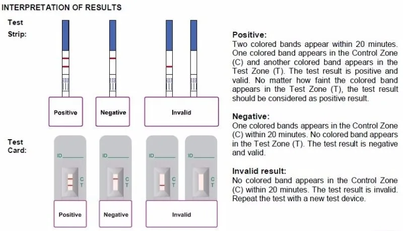 Pclr тест. Тесты Rapid Test strip. Тест Rapid Test инструкция. Rapid Test 1 полоска. Экспресс тест на ВИЧ инструкция.