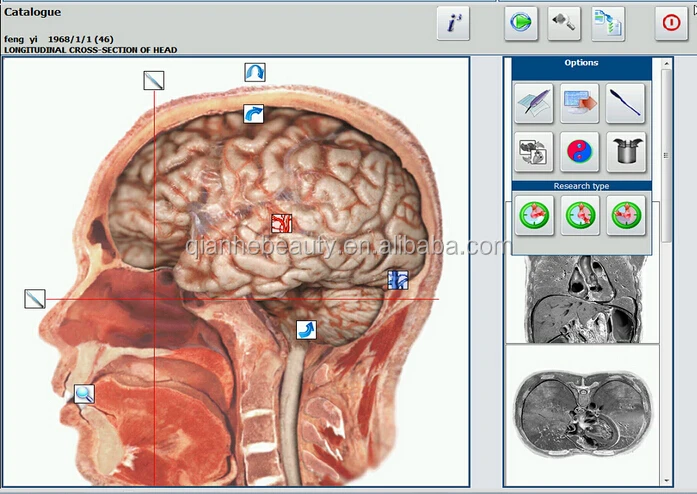 metatron hunter 4025 nls therapy