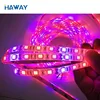 Waterproof red/blue LED Grow Light Strips Rigid SMD5730 72 leds/M With Aluminum Housing 2 Years Warranty