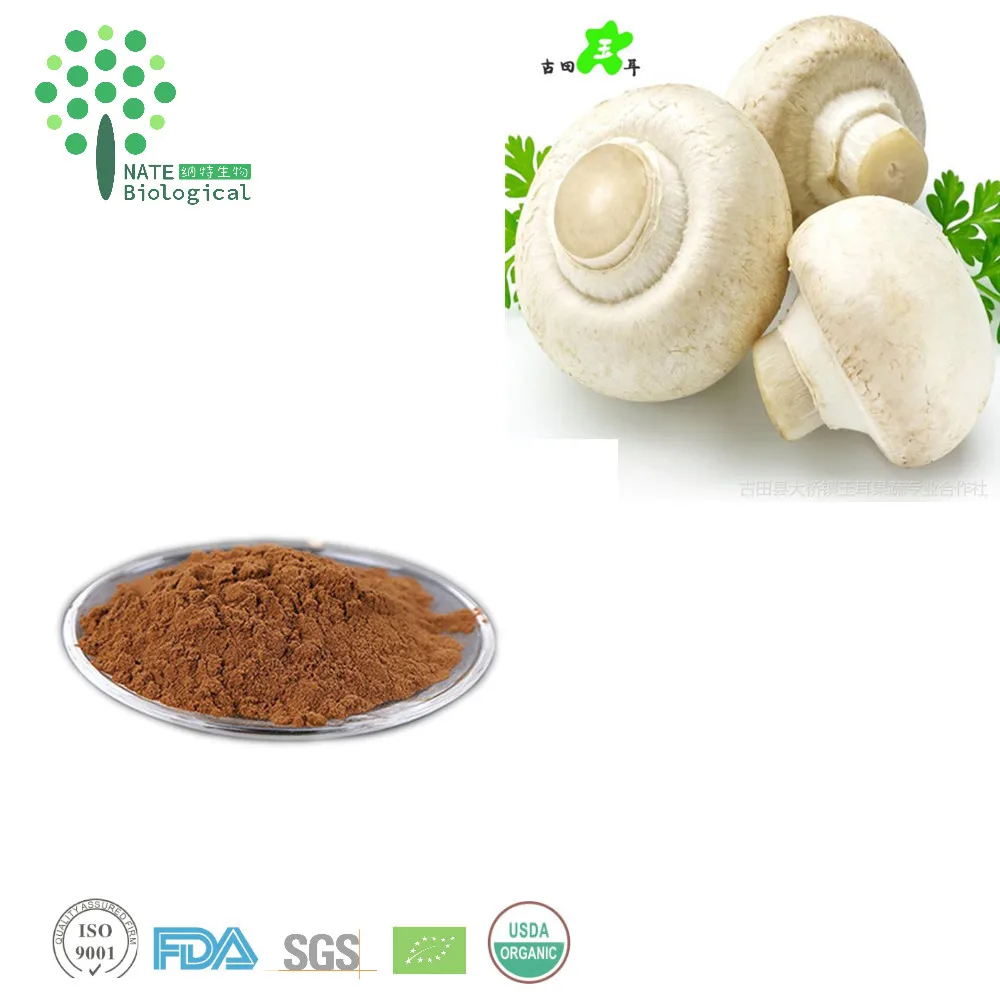 Additive Free Natural White Button Mushroom Extract Powder Buy White