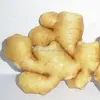 Export Air- Dried Ginger All Year Around --- in low price