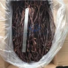 seasoning peru giant dried squid tentacle