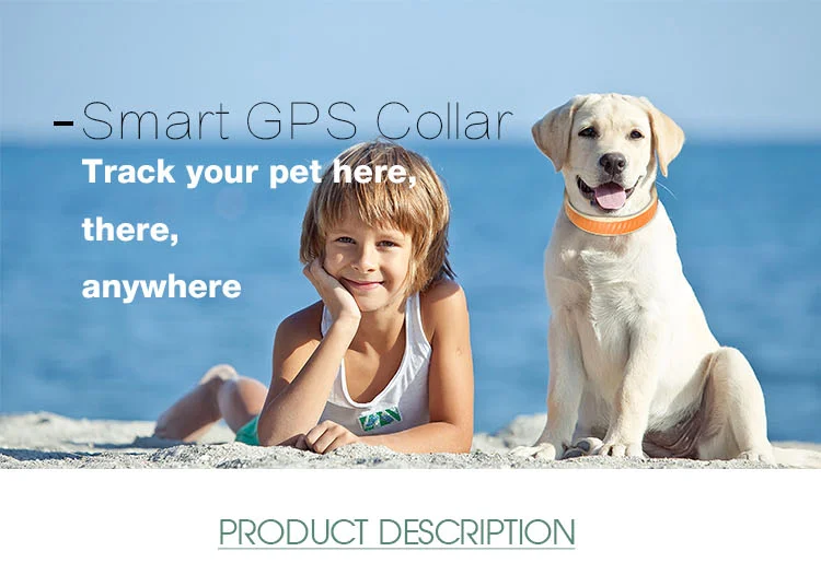 Waterproof Pet Gps Tracker With Microchip Gps Collar For Dog/cat Animal Tracking Device Ev202