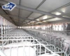 Steel building industrial sheds design construction projects pig farm house 2018