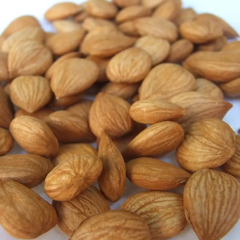Almond Kernel Nuts Good Taste Raw Sliced Almond Buy Organic Sweet Almond,Sliced Almond,Almonds