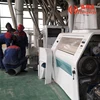 maize milling business plan