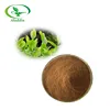 high quality Yerba Mate Extract powder/yerba mate P.E. factory direct sale and good price