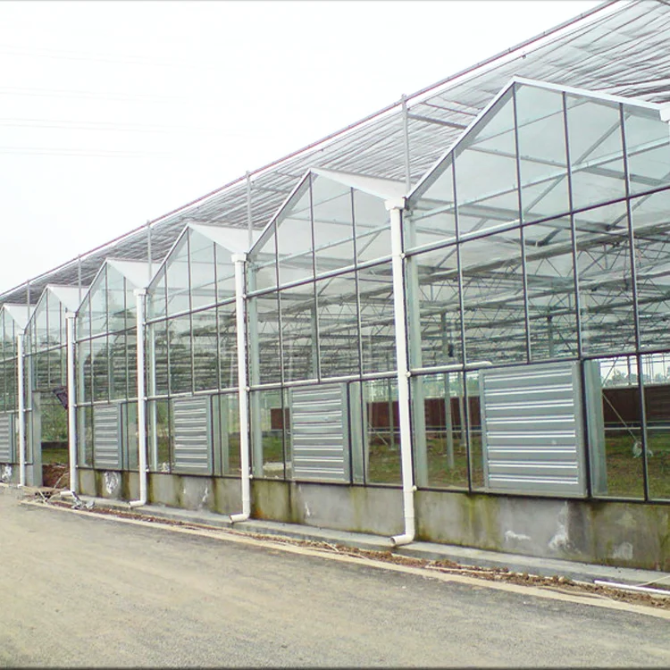 1000m2 Venlo Glass Greenhouse For Sale Buy Fiberglass Greenhouse