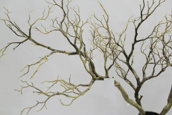 artificial dry tree branches for indoor decoration and artificial dry tree branches for indoor decoration and