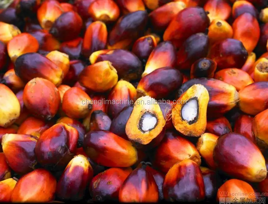 470291_12511890215Ii9 (1).jpg