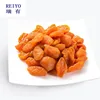 dried apricot fruit exporters