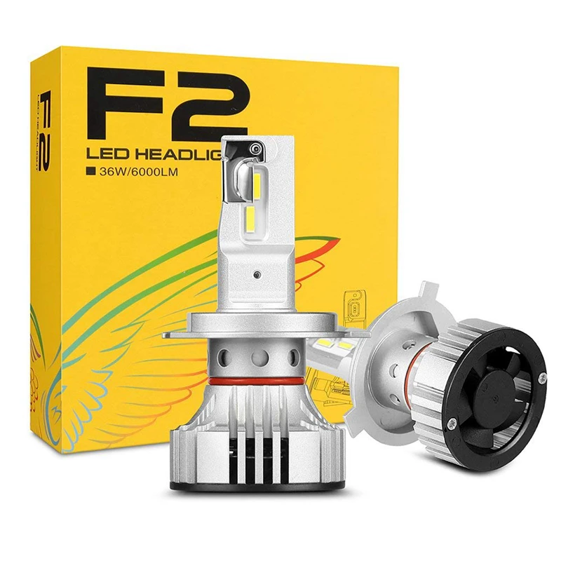 F2.jpg