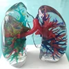 Human Medical Anatomical Liver Model Teaching demonstration 3D Printing Human anatomic model