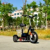 roadpet ginger mypet adults 500w electric zappy 3 pro flex 3 wheel scooter