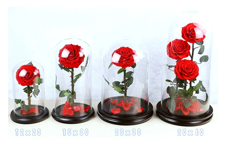 rose-in-glass.png