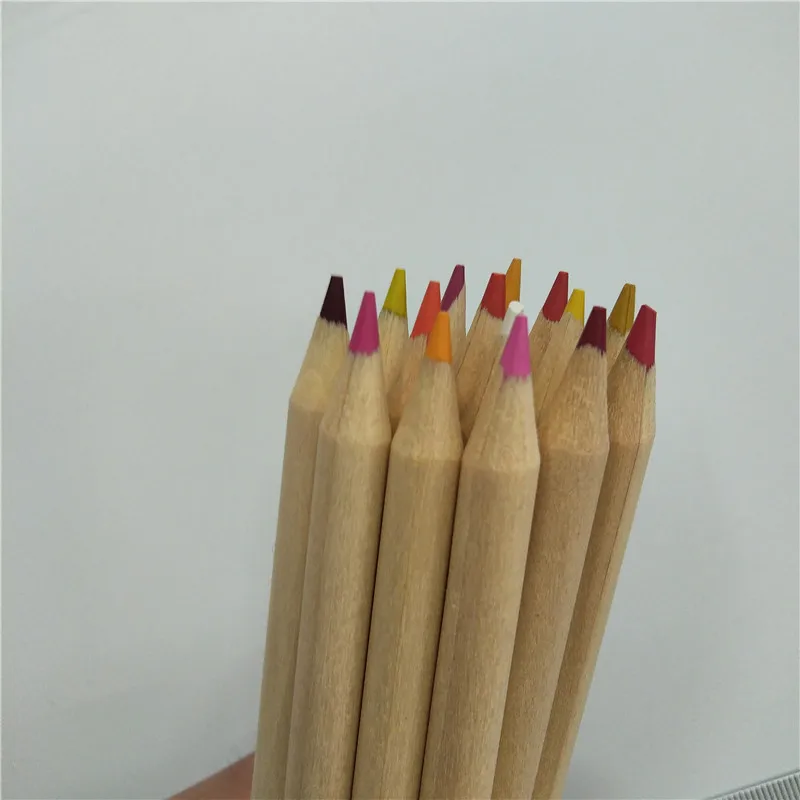 Staedtler Mars Tradition Matite Colorate Triangolari 48 Pezzi | Set Ergonomico In Legno Sostenibile