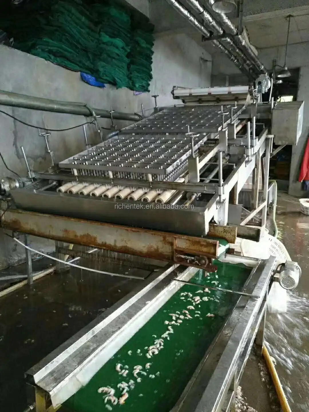 Automatic Shrimp Cleaner Grader Machine/prawn Washing Grading Machine/fresh Shrimp Size Roller Sorting Machine For 6 Grades
