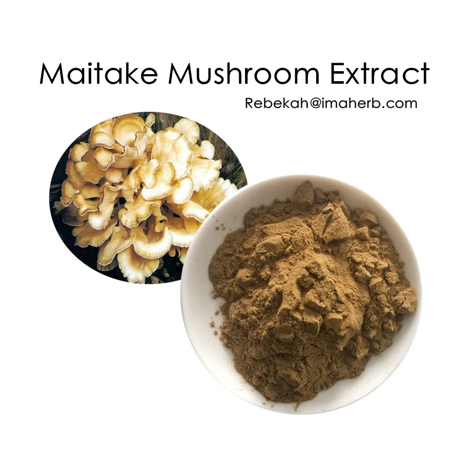 Anti Cancer Dietary Supplement Material Maitake Mushroom Extract Buy