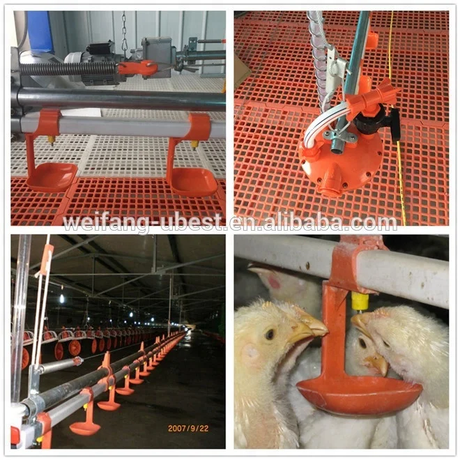 poultry drinking system