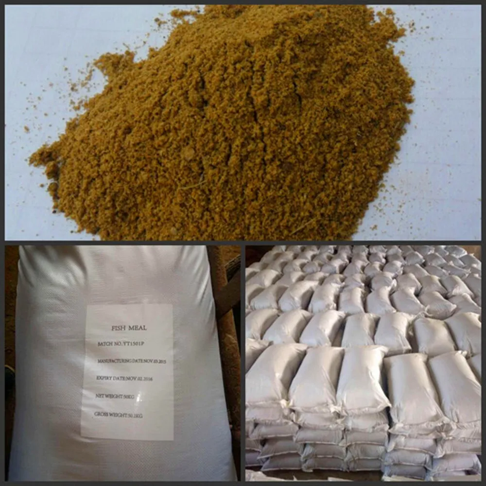 fish meal new export.jpg