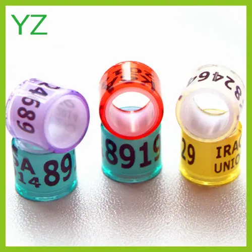 2023 Special Plastic Pigeon Ring Bands With Custom Name Phone Serial ...