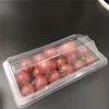 cherry tomato small clamshell box